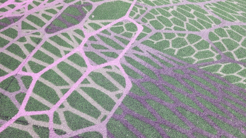 Software Implementation