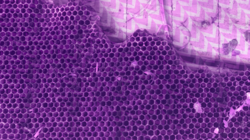 Brand & Experience Services