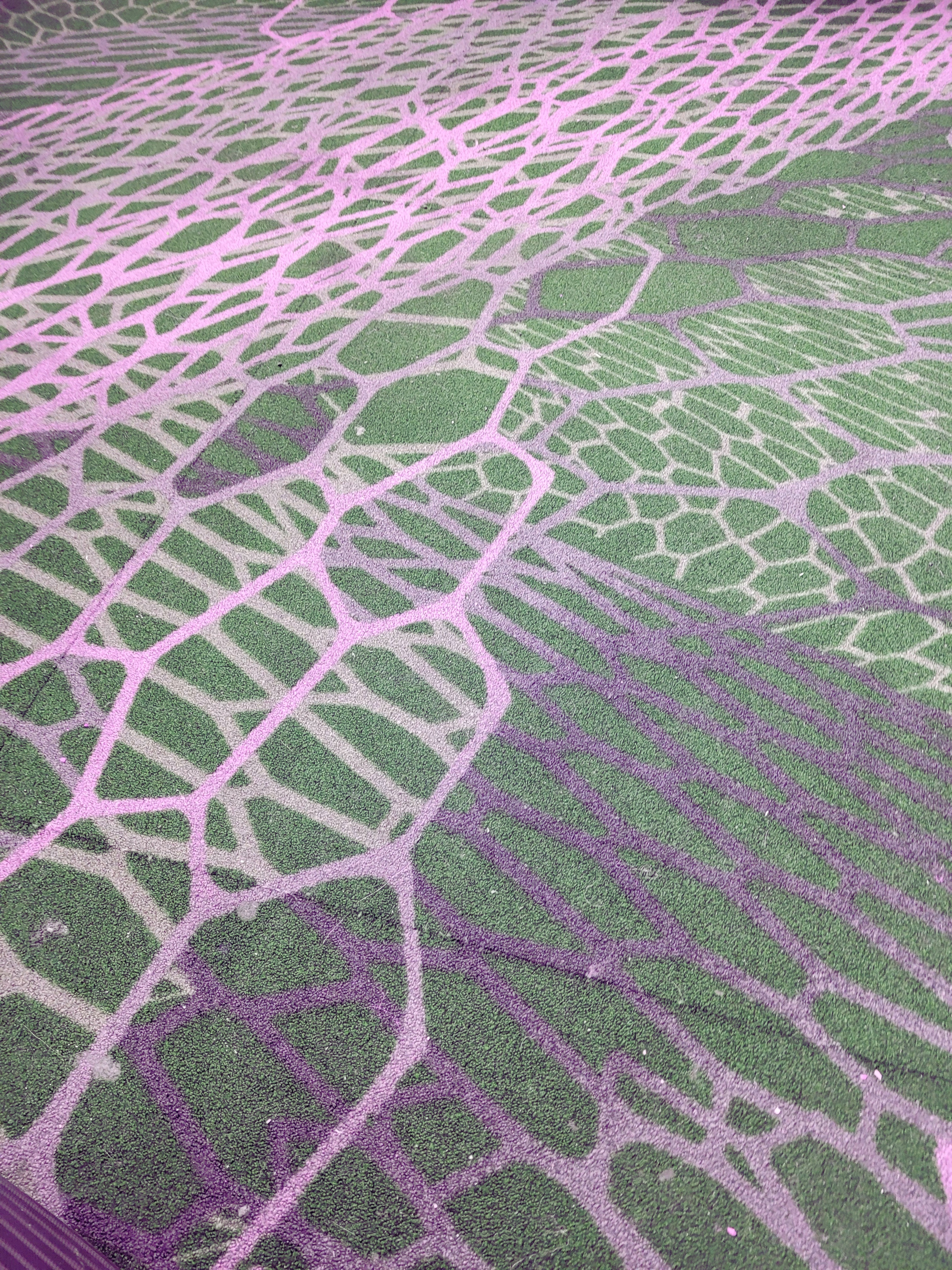 Software Implementation