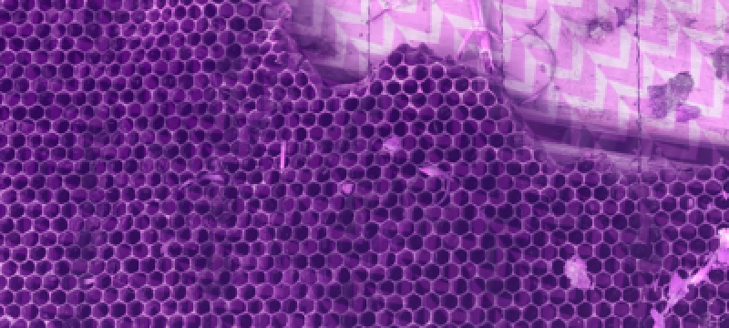 Brand & Experience Services